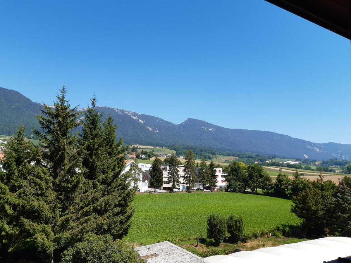 Hotel Urs Und Viktor Bettlach 외부 사진